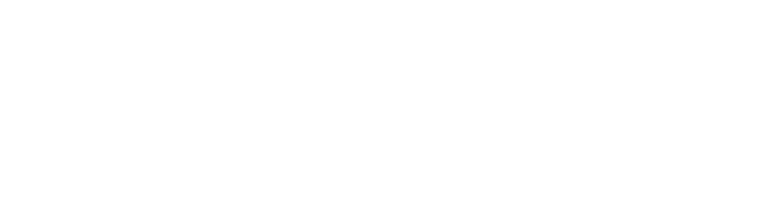 Elan's Wild Ride